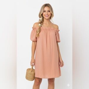 easel cheetah shirt dress easel | Dresses | Easel Cheetah Print Mineral Washed Tshirt Dress New